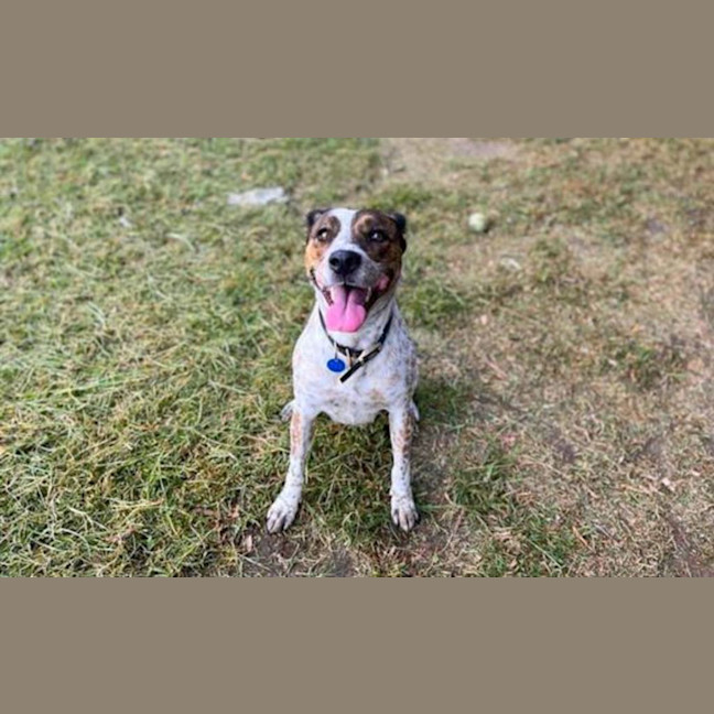 Photo of Lucy