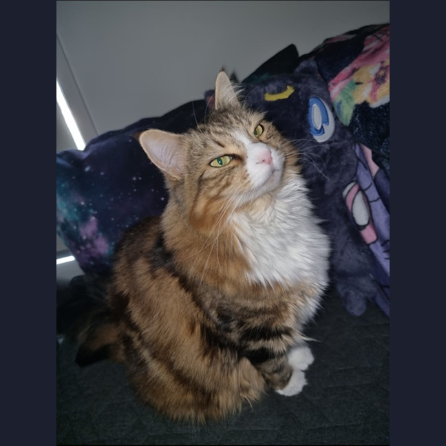 Photo of Princess Wynter