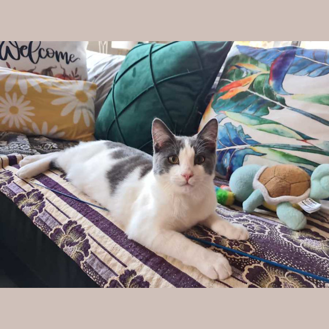 Photo of Earl Grey