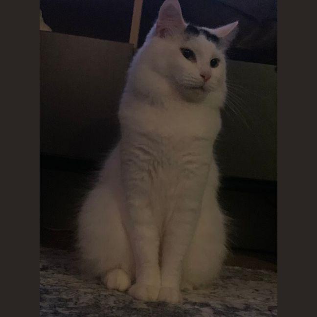 Photo of Dottie