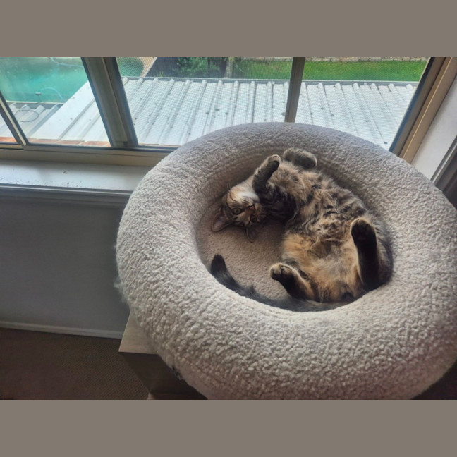 Photo of Tabitha