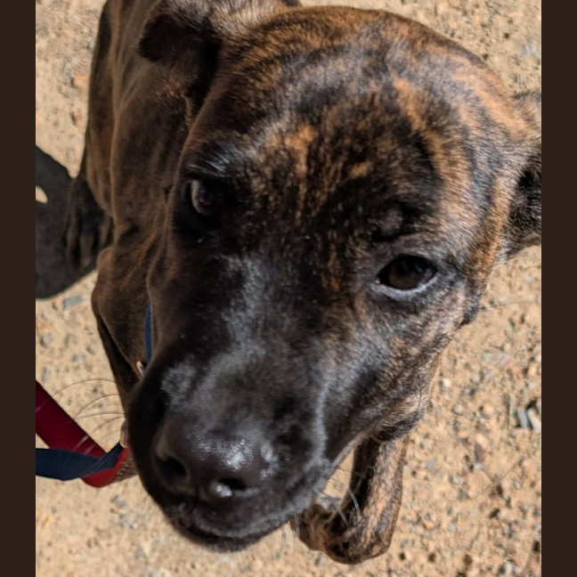 Photo of Hera