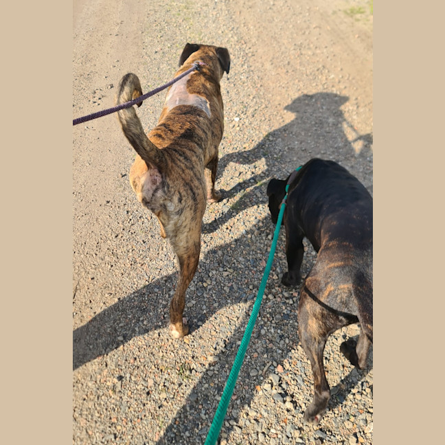 Photo of Cash