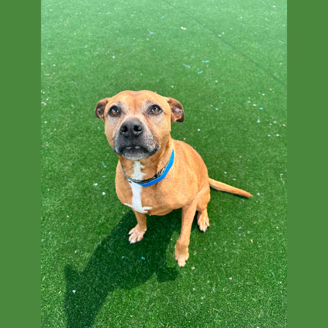 Photo of Jett Imp 2091