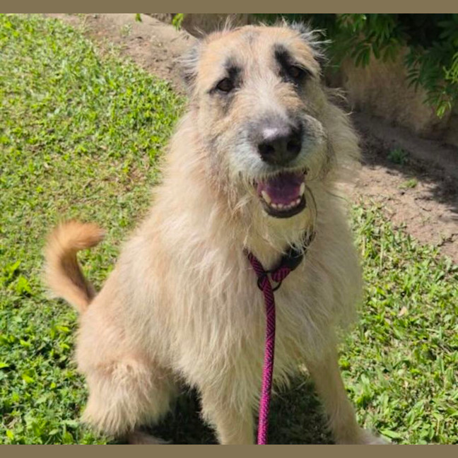 Photo of Roxy
