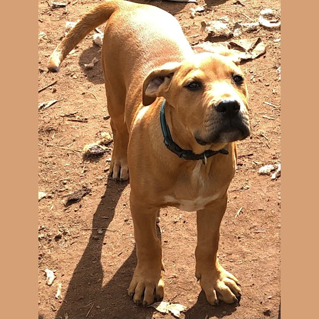 Photo of Kahn