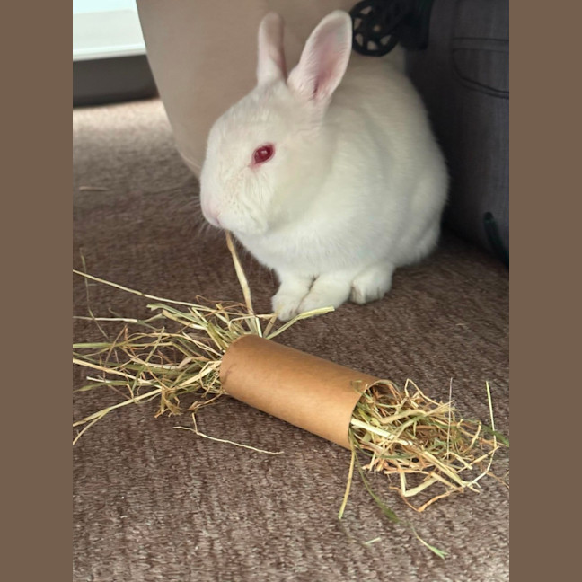 Photo of Bunnifer Anniston