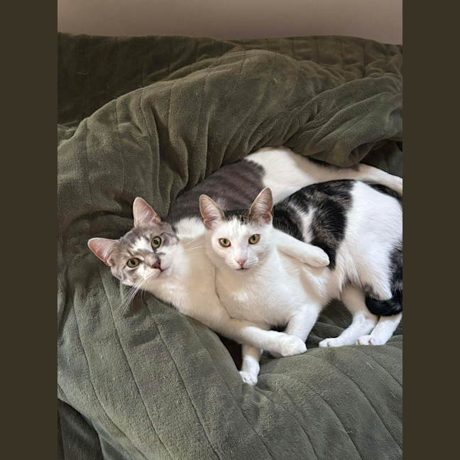 Photo of Cloud & Pebble