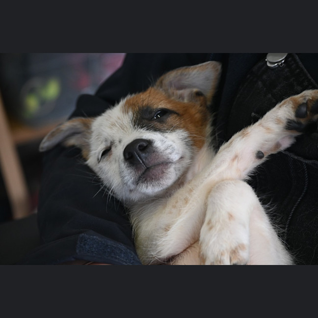 Photo of Thelma