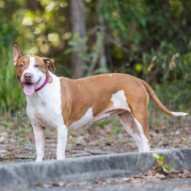 Photo of Rockin' Roxy