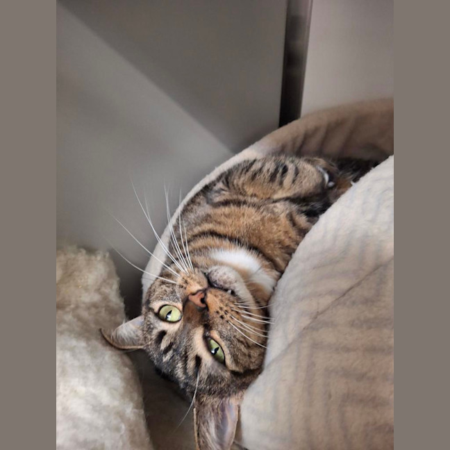 Photo of Polly