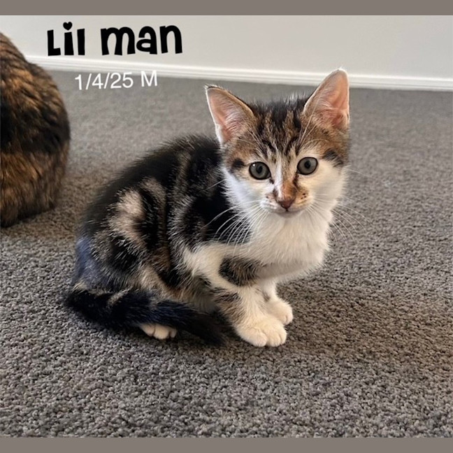 Photo of Lil Man
