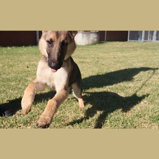 Photo of Axel