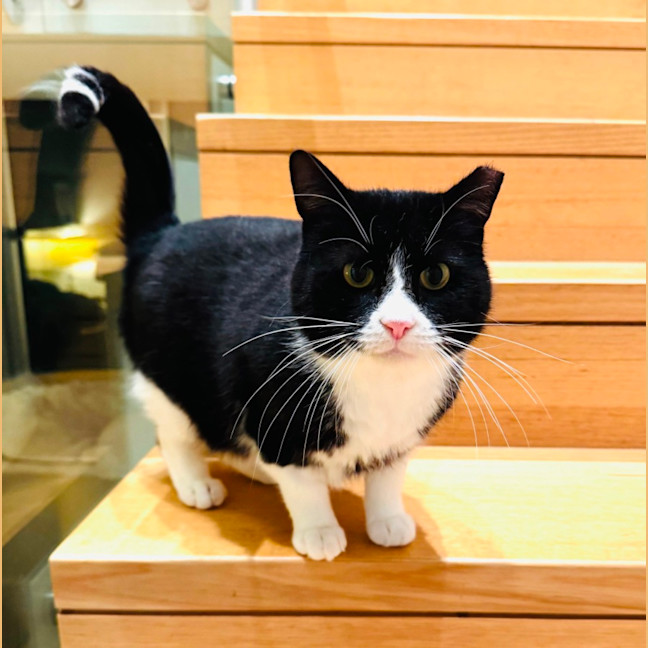 Photo of Gatsby 🌟