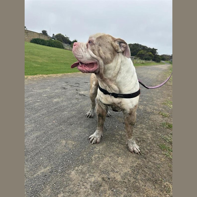 Photo of Hercules
