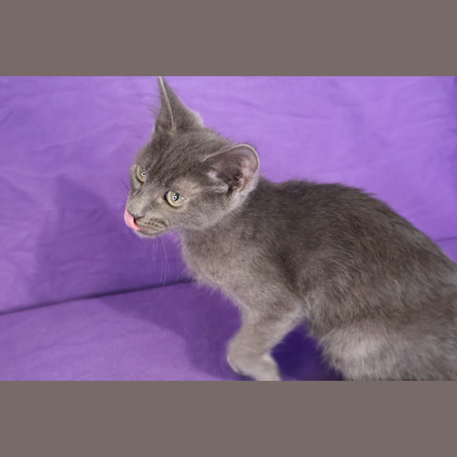 Photo of Valjean