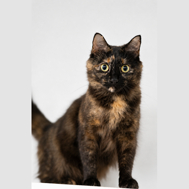 Photo of Reyna