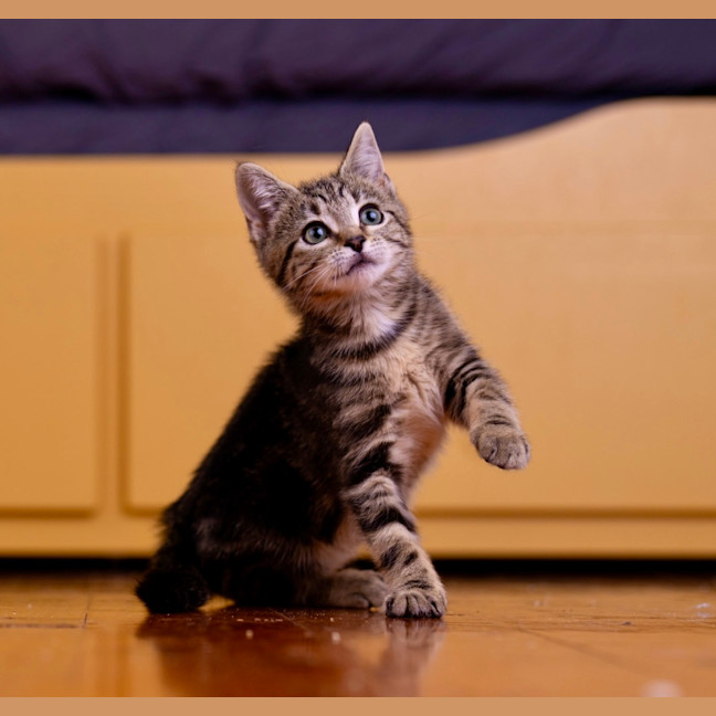 Photo of Lunchlady Doris