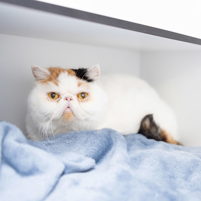 Photo of Missy Finn