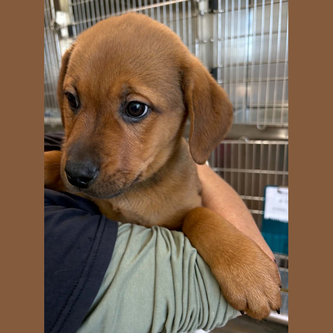 Photo of Ernie