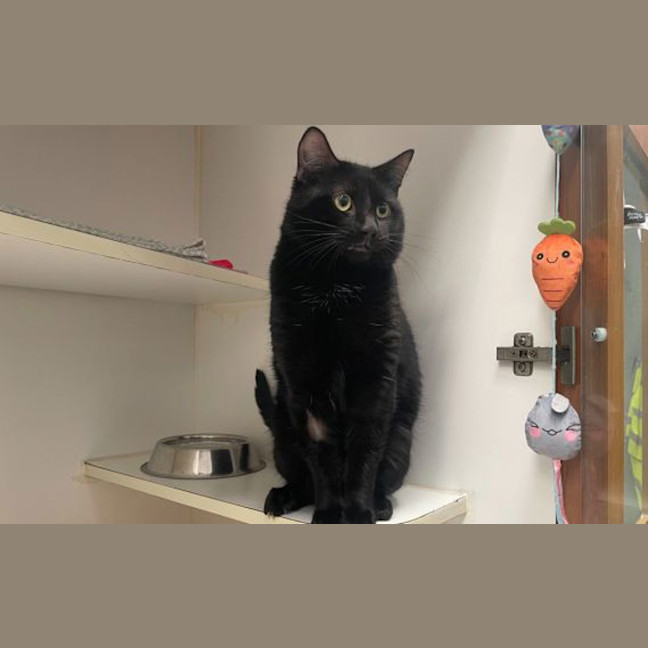 Photo of Taco