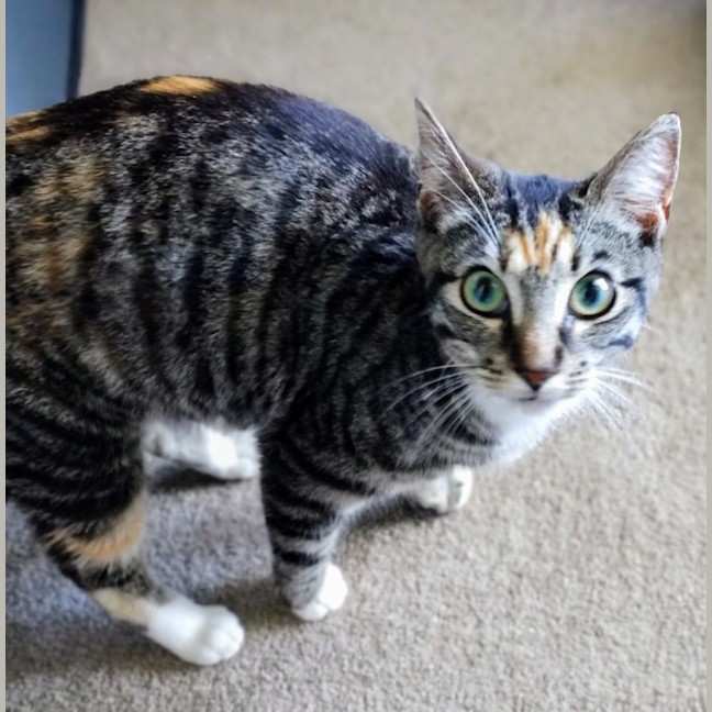 Photo of Minnie   Now At Pe Tquarters Thornton