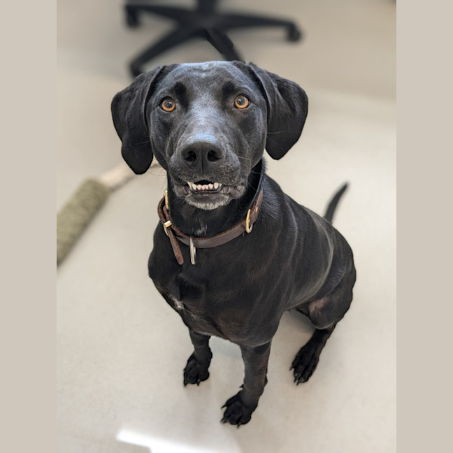 Photo of 🍁 Lucy 5575 🍁