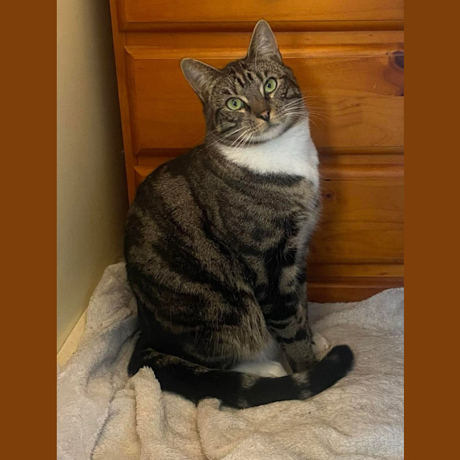 Photo of Oscar