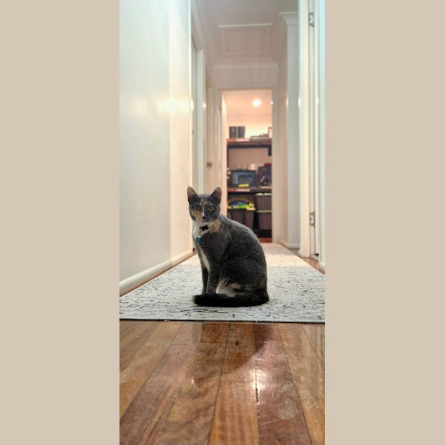 Photo of Cali