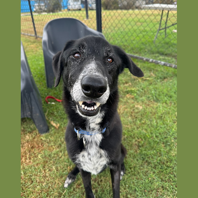 Photo of Turbo