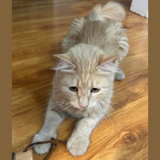 Photo of Jack & Jill 