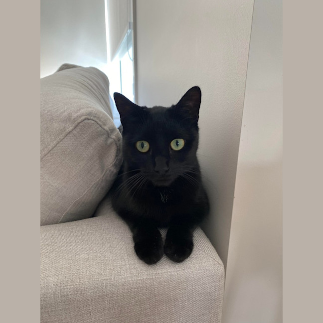 Photo of Lily