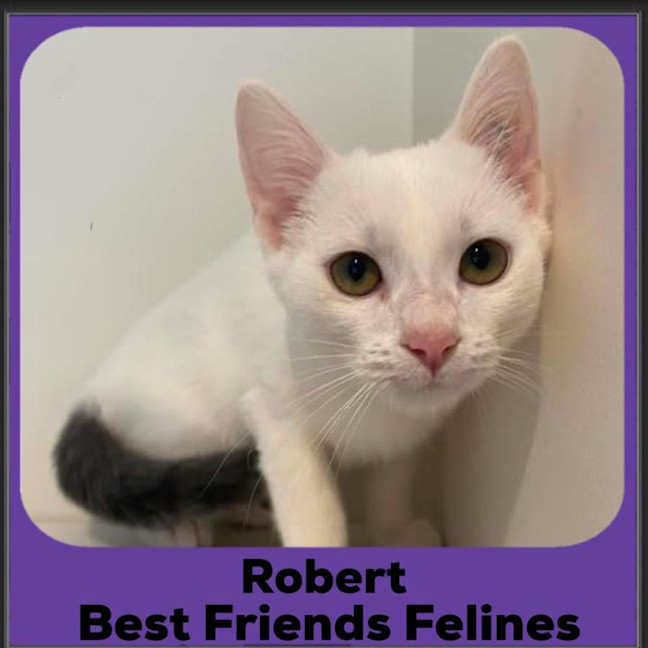 Photo of Robert 