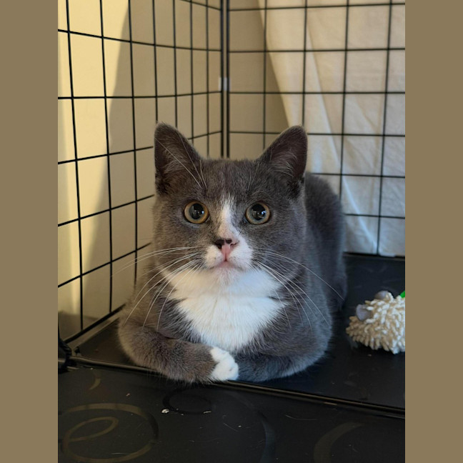 Photo of Gus