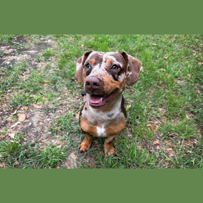 Photo of Beanie