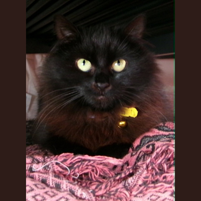 Photo of Maggie