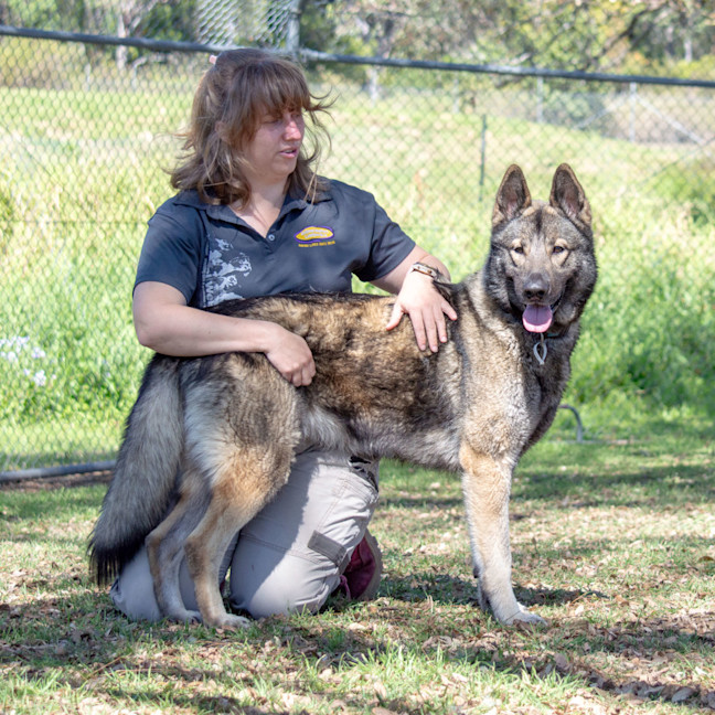 Photo of Kona