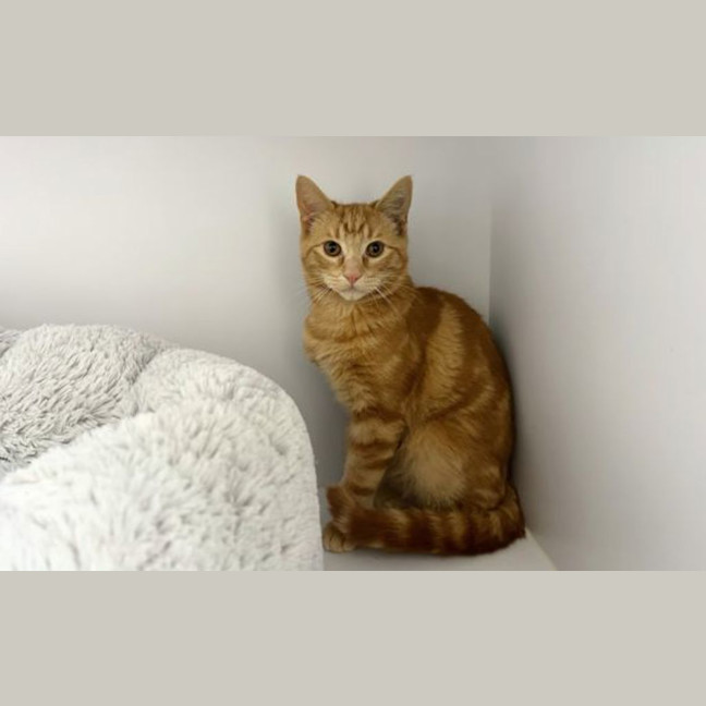 Photo of Lewis