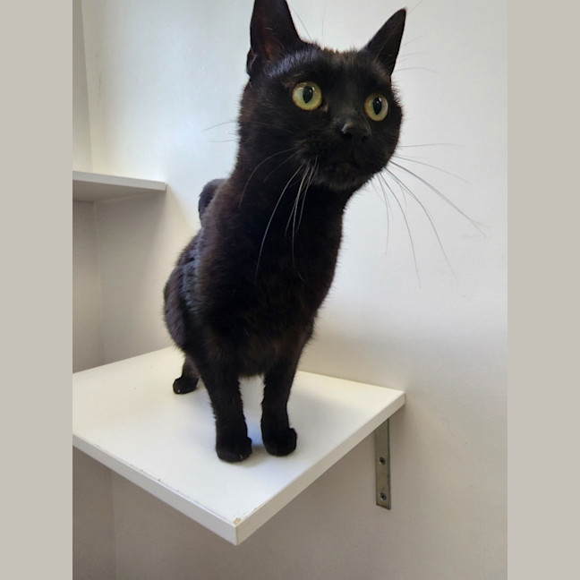 Photo of Ally And Toby