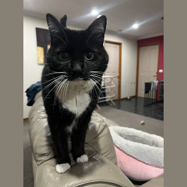 Photo of Nikita Aka Nikki