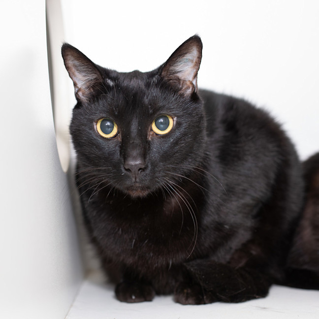 Photo of Zeus