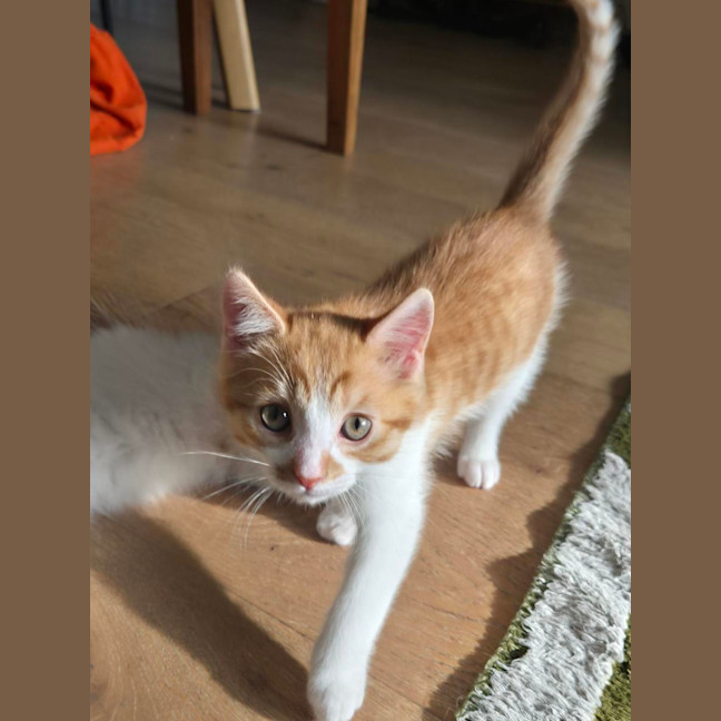 Photo of Jinkx Monsoon