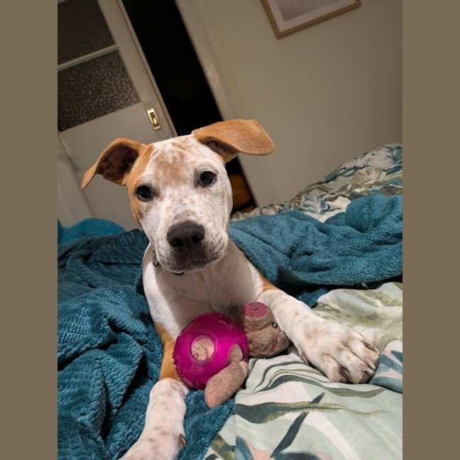 Photo of Eddie