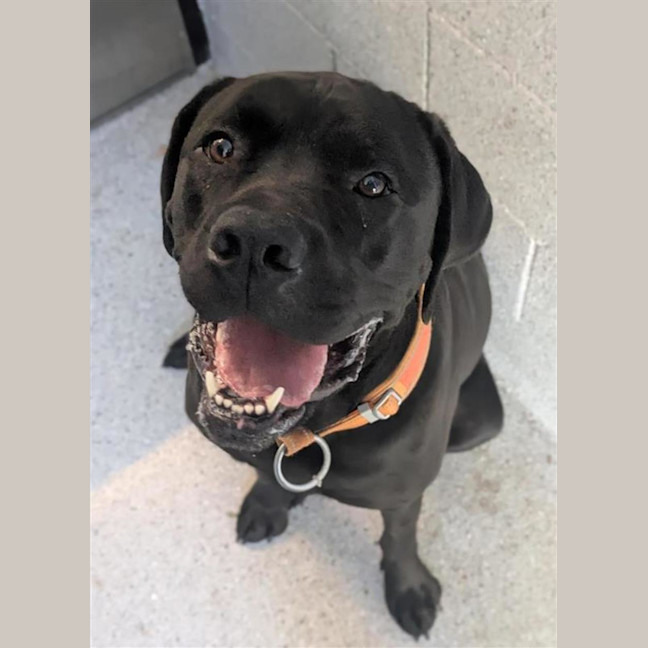 Photo of 🐞 Stevie 6855 🐞