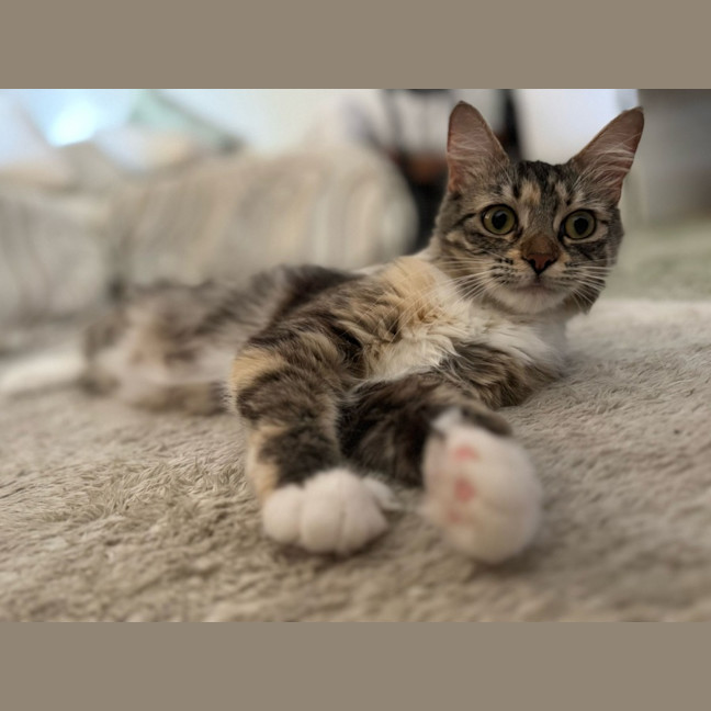 Photo of Sugar
