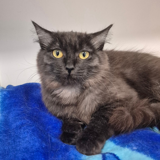 Photo of Abigail Marston 