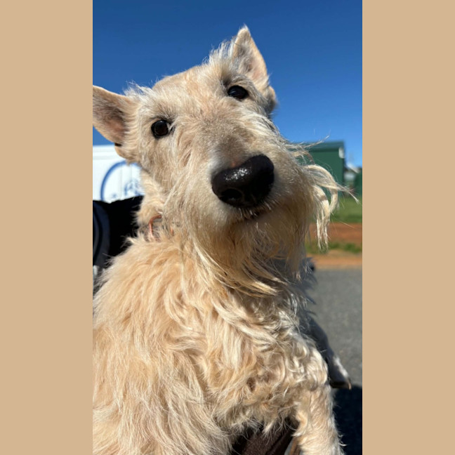 Photo of Zeira