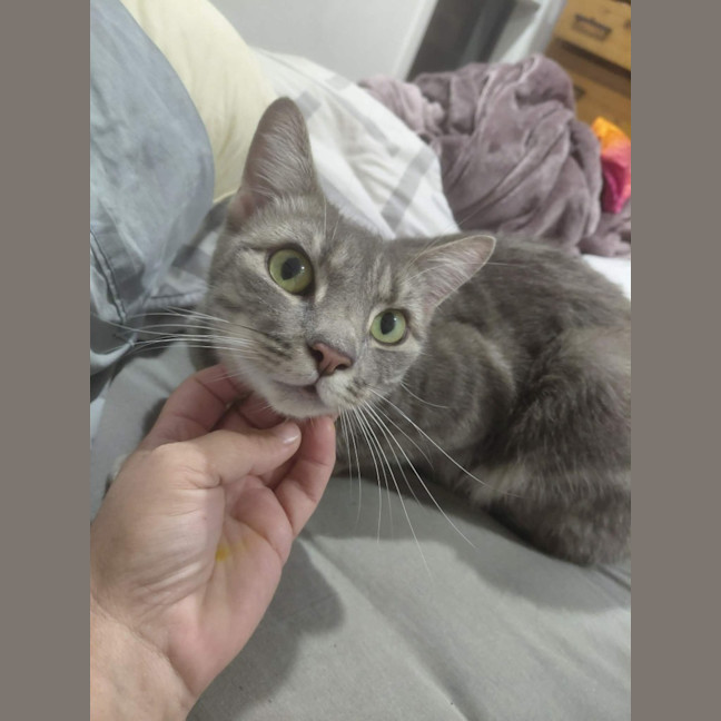 Photo of Birdie