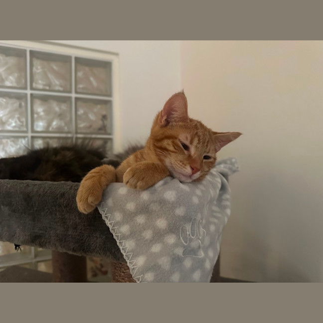 Photo of Edward