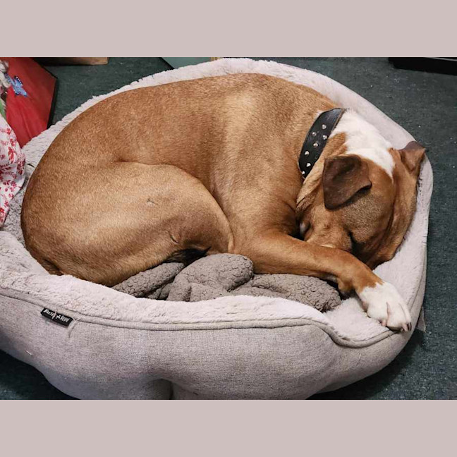 Photo of Billy